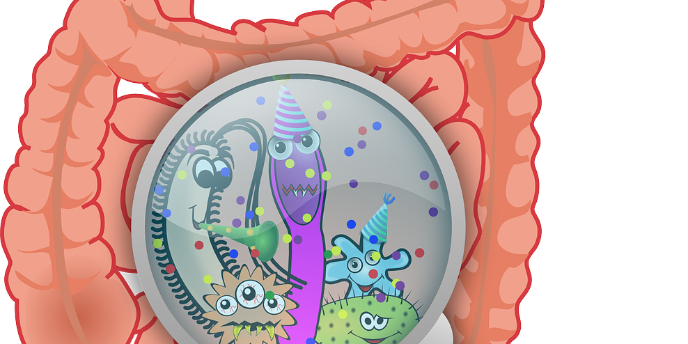 Darm mit lustigen Bakkterien – Quelle OpenClipart-Vectors