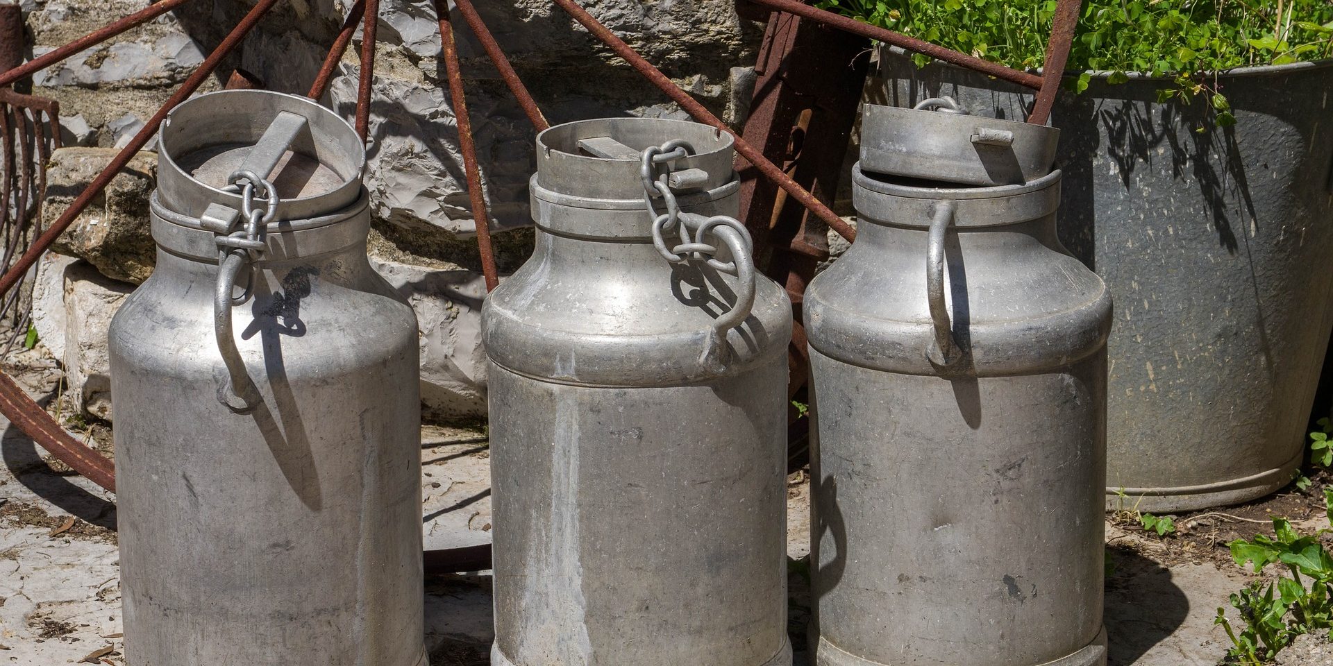 jacqueline macou – cans-5200368_1920